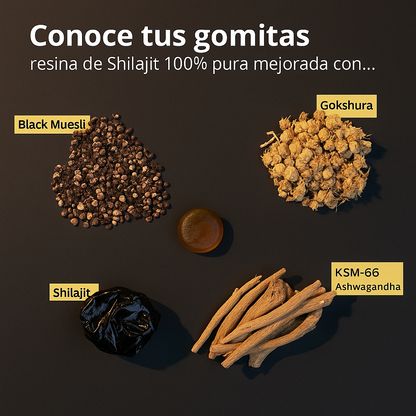 WindBoss Gold Gomitas de Shilajit Puro del Himalaya: Con Ashwagandha, Black Musli y Gokshura®
